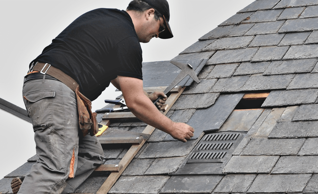 shingle roof